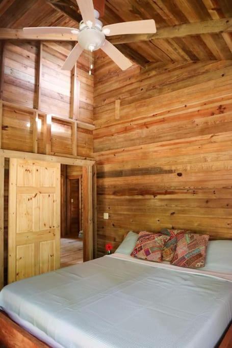 Jungle Beach 2 Bedroom Cottage Bocas Town Bagian luar foto