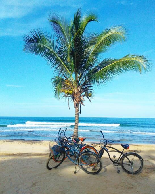 Jungle Beach 2 Bedroom Cottage Bocas Town Bagian luar foto