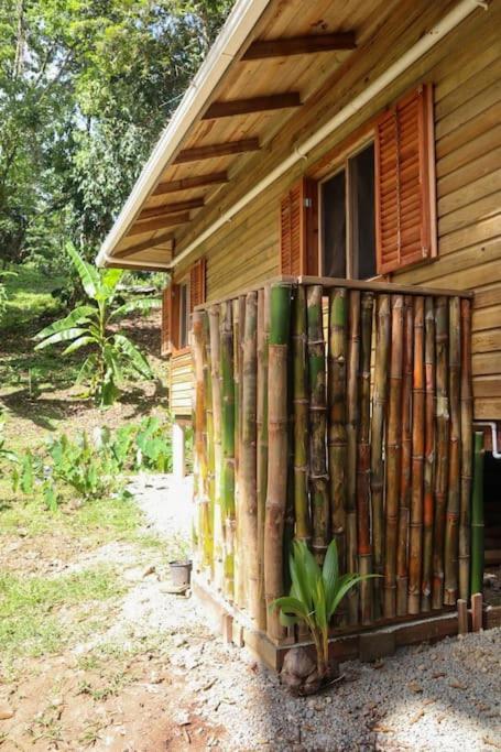 Jungle Beach 2 Bedroom Cottage Bocas Town Bagian luar foto