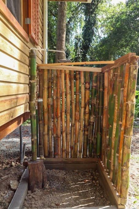 Jungle Beach 2 Bedroom Cottage Bocas Town Bagian luar foto
